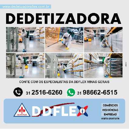 Dedetização flex para insetos rasteiros e voadores